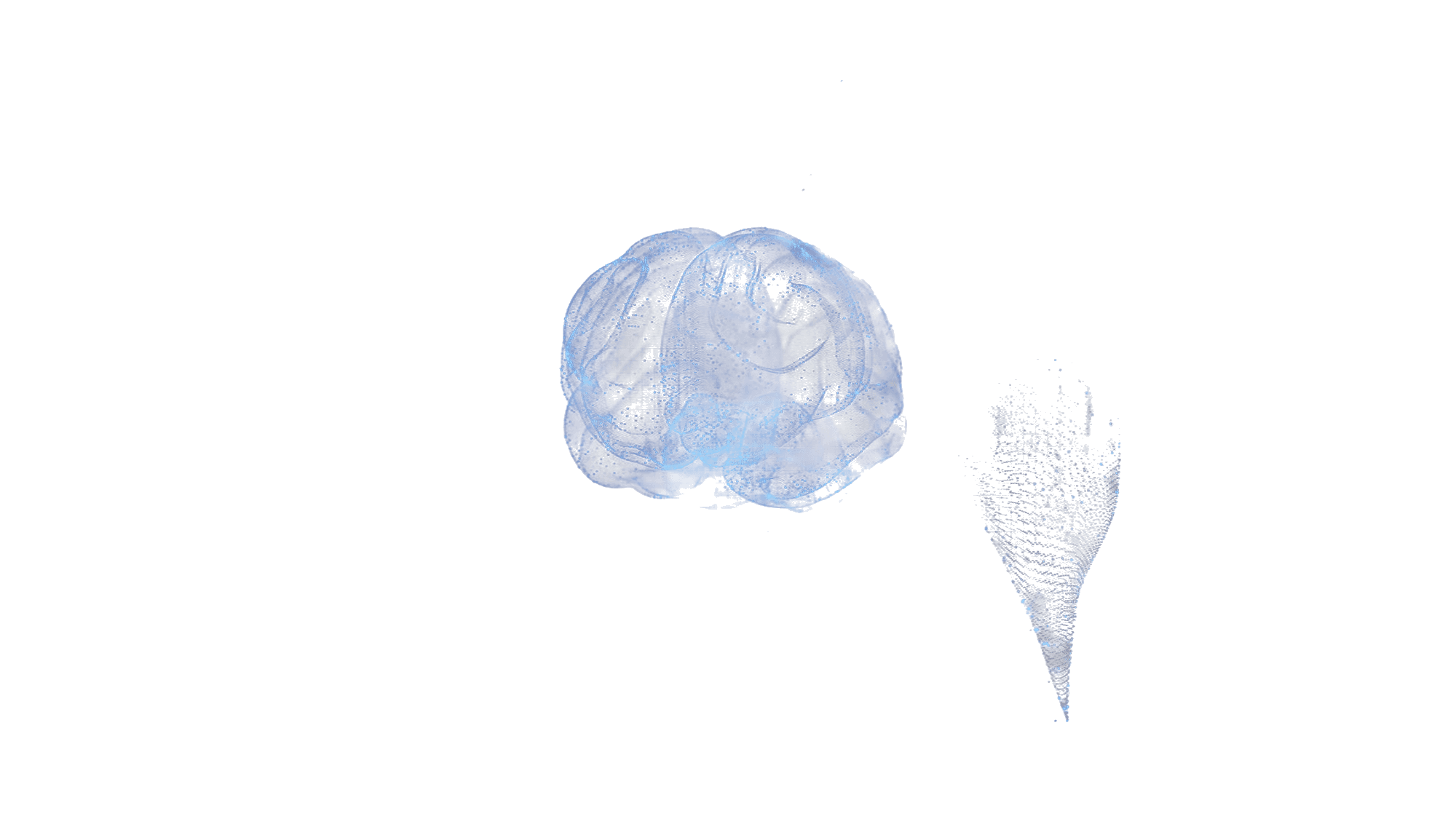 Animus Brain